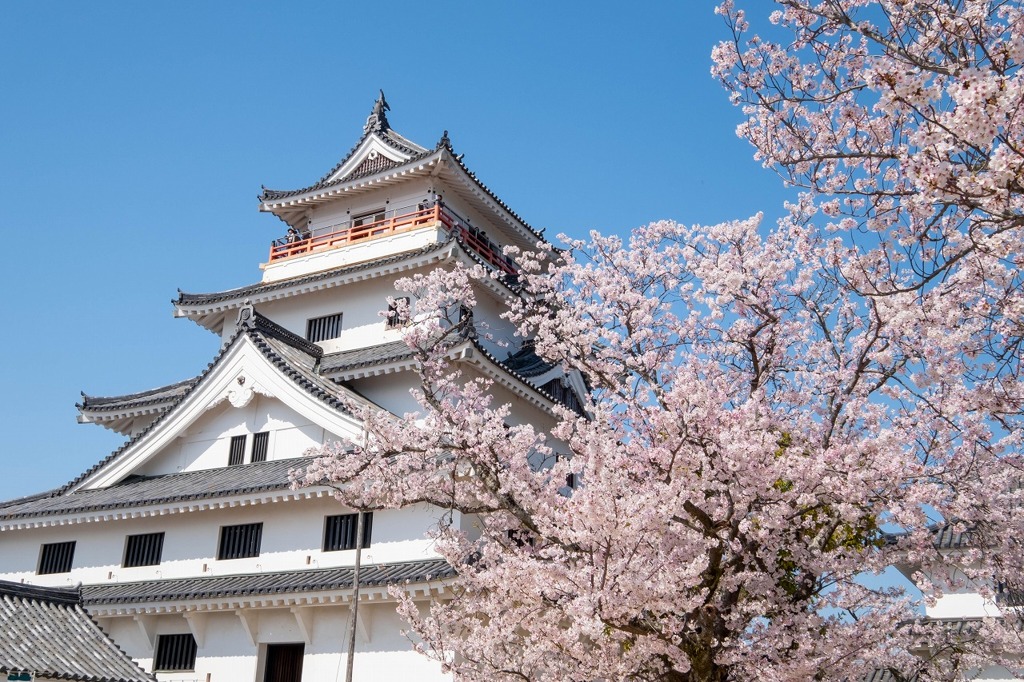 春の唐津城（５）
