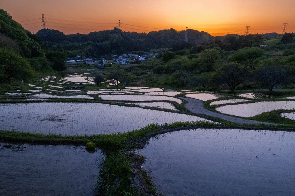 せんがまちの棚田