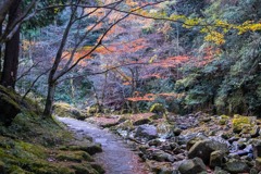 秋の赤目四十八滝（２）