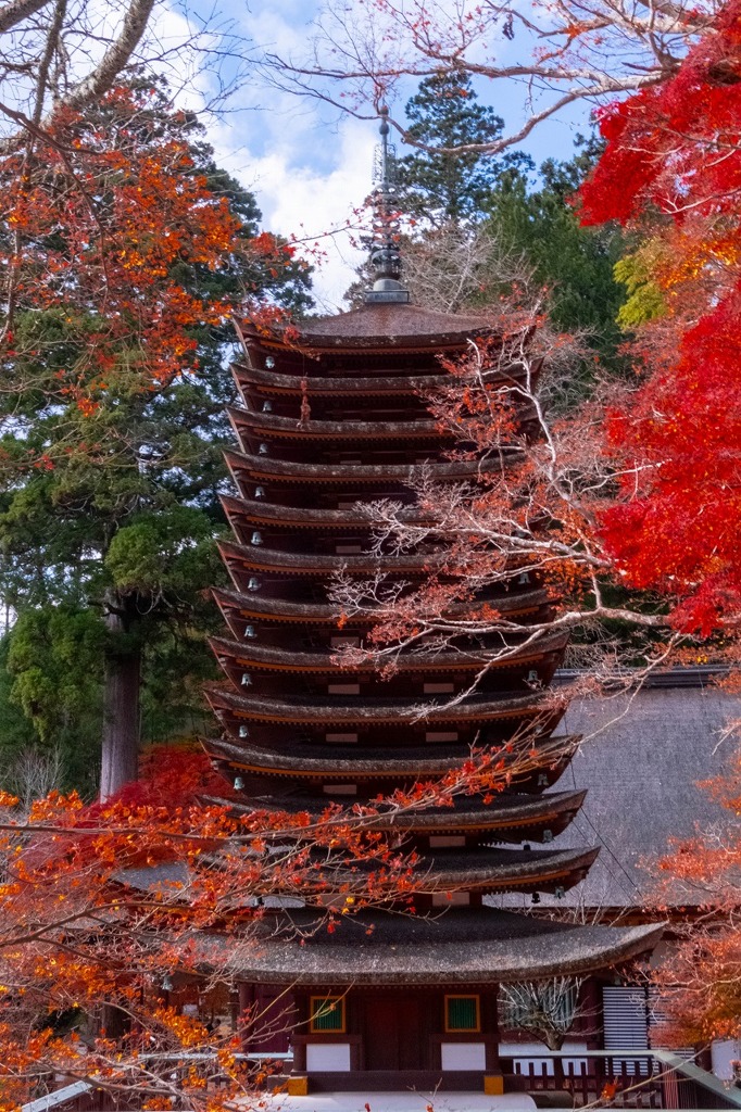 12月の奈良（58）