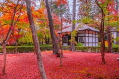 秋の京都（13）