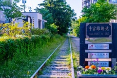 小樽（３）