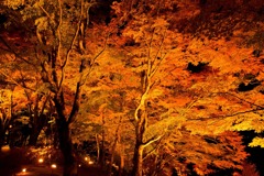 山中湖紅葉まつりの夜景（２）
