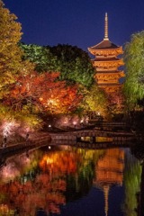 京都の夜景（５）
