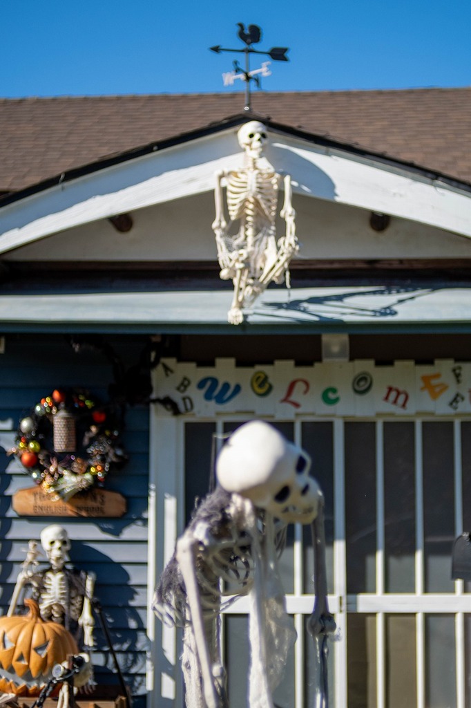 ハッピー・ハロウィン（３）