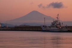 焼津港の夜明け（５）
