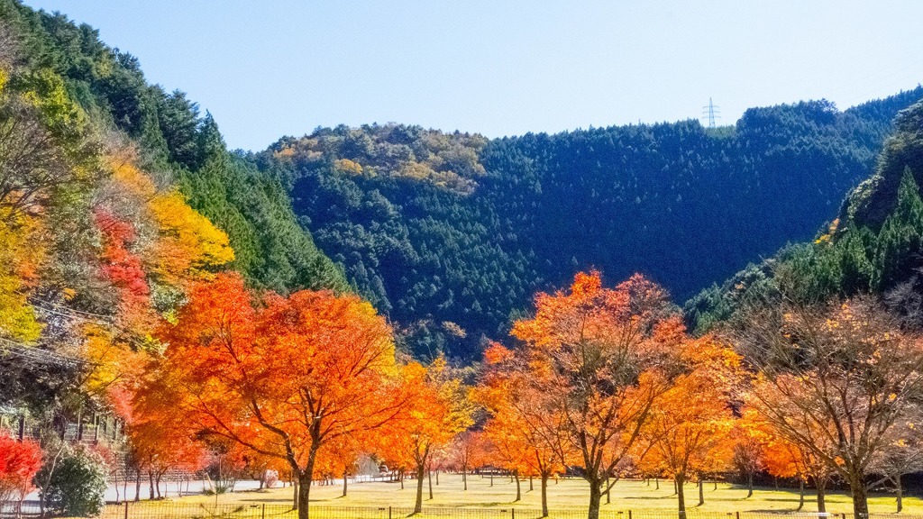 寸又峡（９）