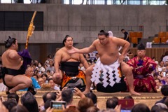 大相撲静岡場所（33）