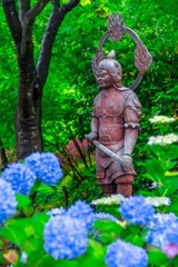 梅雨の鎌倉（９）