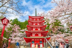山梨の春（８）