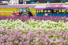 2017 北海道（24）