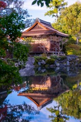 12月の奈良（17）