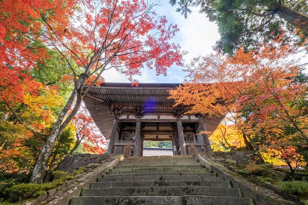 秋の湖東三山（12）