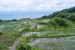 東後畑棚田（２）