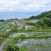 東後畑棚田（２）