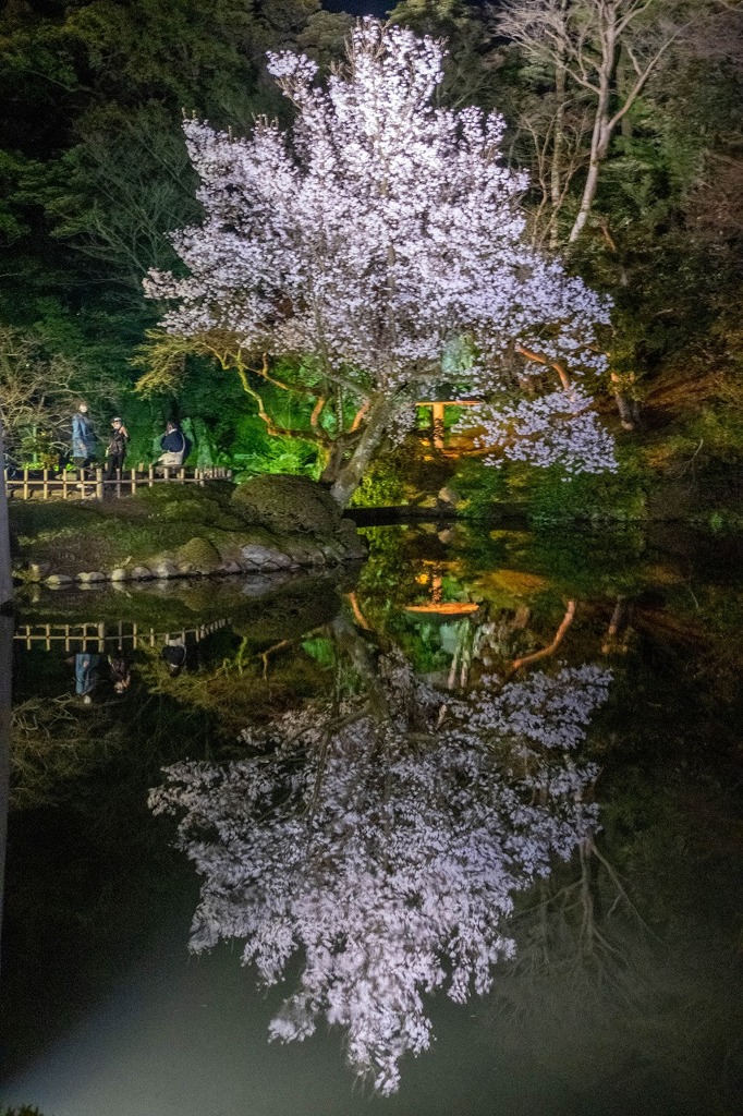 夜の兼六園（５）