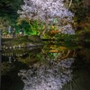 夜の兼六園（５）