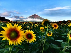 夏の山中湖４