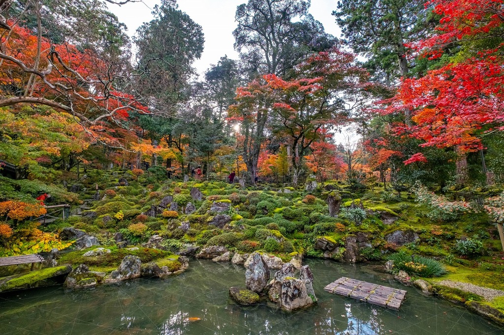 湖東の秋（５）