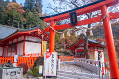 金櫻神社（１）