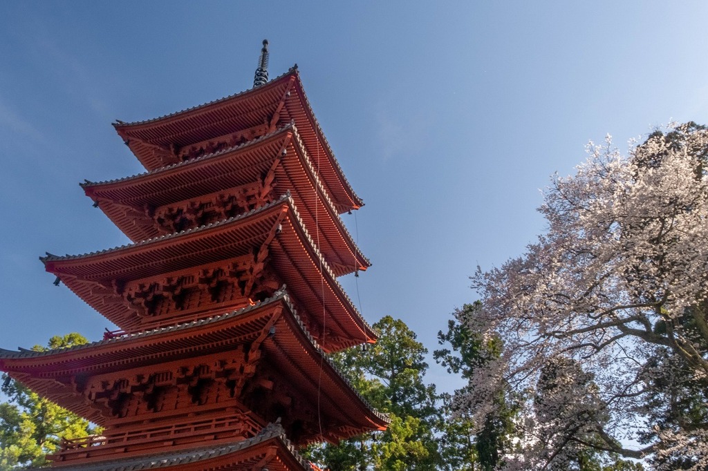 久遠寺の春（６）