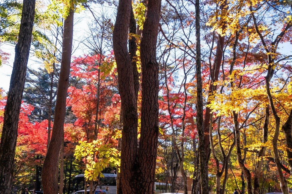 軽井沢の秋（13）