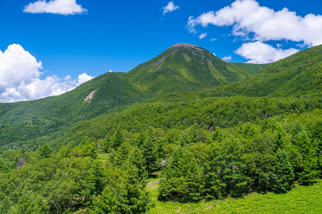 北八ヶ岳ロープウェイ（２）