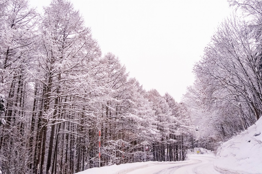 雪の志賀高原（３）