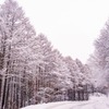 雪の志賀高原（３）