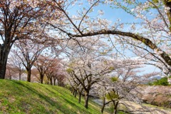 伊香保にて（１）