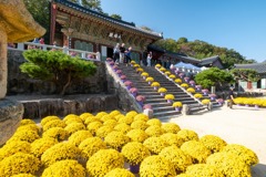 釜山（13）