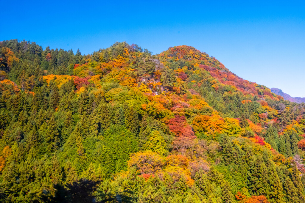 秋の昇仙峡ロープウェイ（２）
