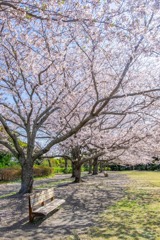 小山城（４）