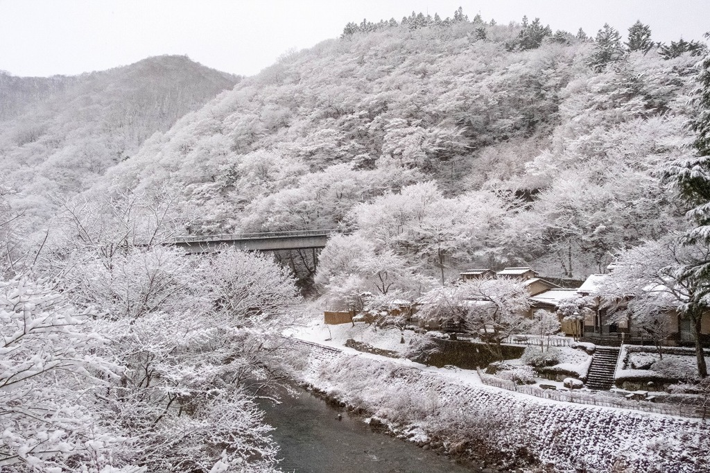 なごり雪（１）