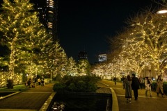 2024クリスマス（11）