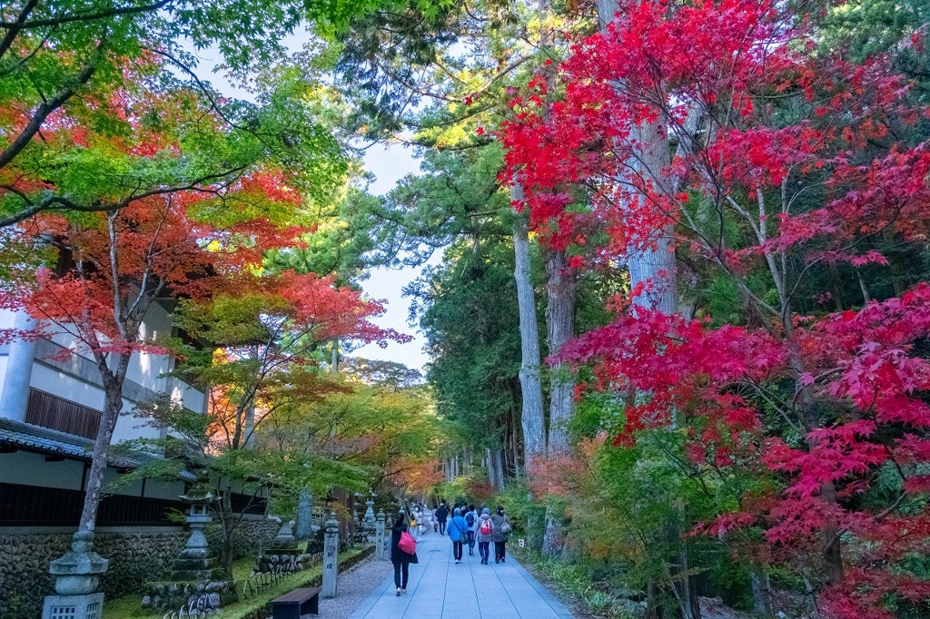 秋の法多山（３）