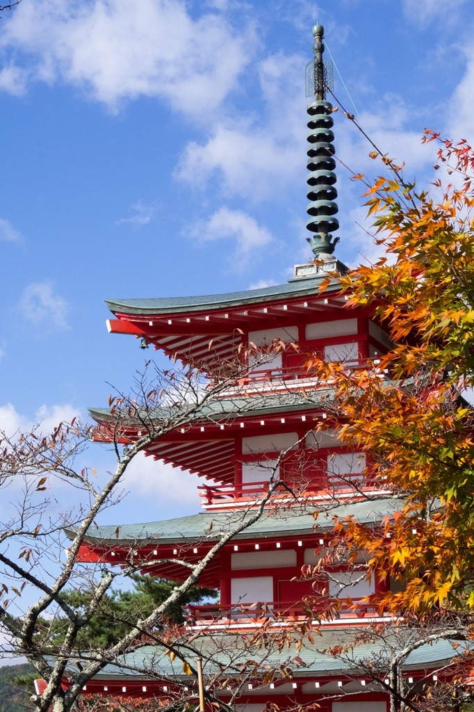 秋の忠霊塔（３）