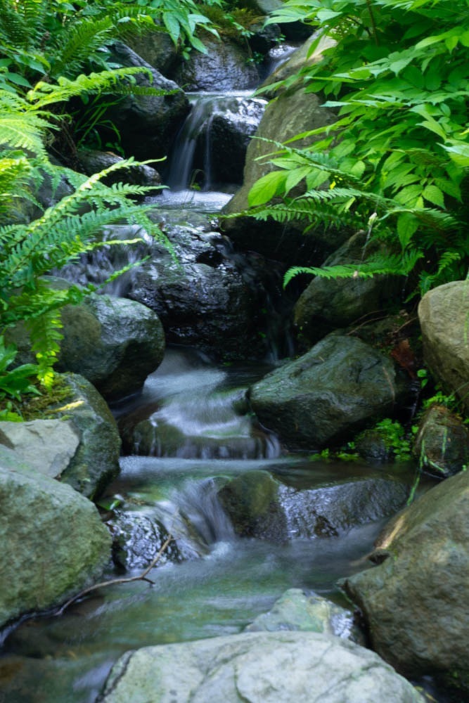 新緑の箱根（２）