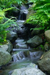 新緑の箱根（２）