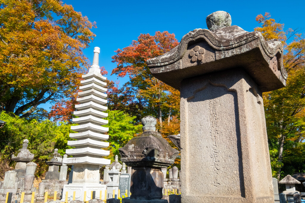 秋の善光寺（８）