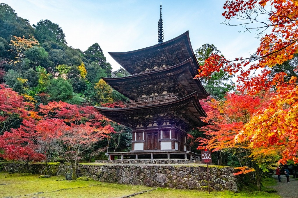 湖東の秋（６）