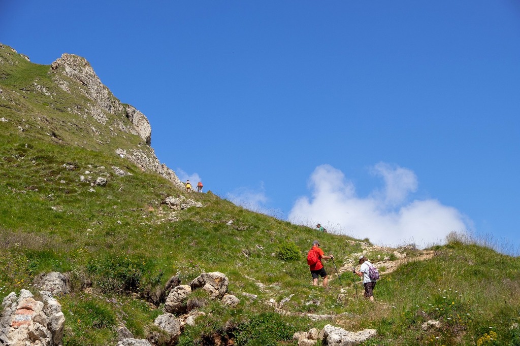 アルぺ・デ・シウジ（14）