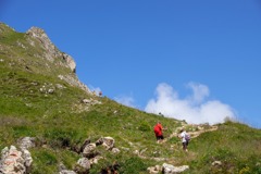 アルぺ・デ・シウジ（14）