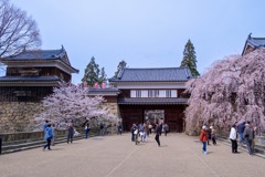 上田の春（32）
