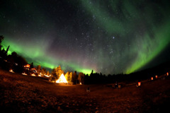 イエローナイフ16