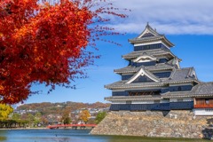 秋の松本城（１）