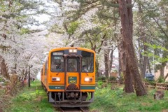 芦野公園（３）