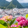 紫陽花の下田公園（１）