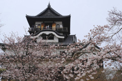 犬山城5