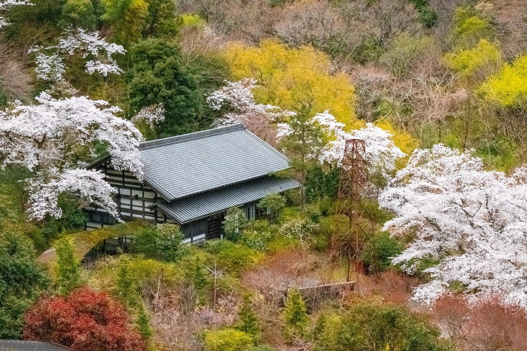 箱根　豊栄荘（１）